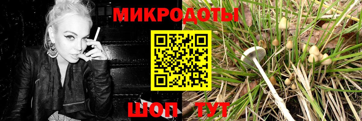Галлюциногенные грибы мицелий  Вход с VPN  купить  сайты  Галлюциногенные грибы прущие грибы  Барнаул 