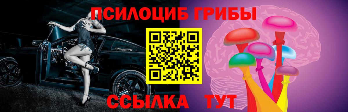 Псилоцибиновые грибы Magic Shrooms Барнаул